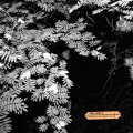 Buy Dolorean - Violence In The Snowy Fields Mp3 Download