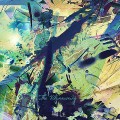 Buy Hai Le - The Blossoming Mp3 Download