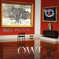Purchase Owl - Big Picture