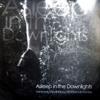 Purchase Hammock - Asleep In The Downlights
