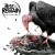 Buy Rise to Remain - City of Vultures Mp3 Download