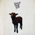 Buy Skyhooks - Straight In A Gay Gay World Mp3 Download