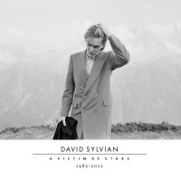 Purchase David Sylvian - A Victim Of Stars: 1982-2012 CD1