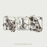 Purchase SIA - Colour the Small One (US Edition)