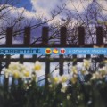 Buy Spearmint - A Different Lifetime Mp3 Download