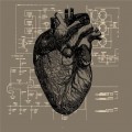 Buy Last Harbour - Your Heart, It Carries The Sound Mp3 Download