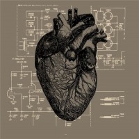 Purchase Last Harbour - Your Heart, It Carries The Sound