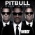 Purchase Pitbull- Back In Time (CDS) MP3