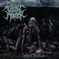 Buy Thy Art Is Murder - Infinite Death (EP) Mp3 Download