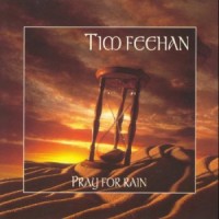 Purchase Tim Feehan - Pray For Rain