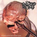 Buy Splattered Entrails - Grindustrialization Mp3 Download