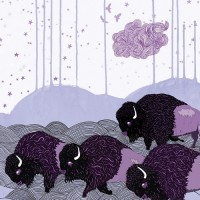 Purchase *shels - Plains Of The Purple Buffalo