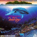 Buy The Beach Boys - Summer In Paradise Mp3 Download