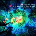 Buy Richard Hawley - Standing At The Sky's Edge Mp3 Download