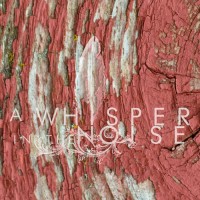 Purchase A Whisper In The Noise - To Forget