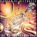 Buy The Walter Murphy Band - A Fifth of Beethoven Mp3 Download