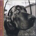 Buy Willy Porter - Dog Eared Dream Mp3 Download