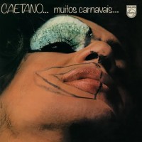Purchase Caetano Veloso - Muitos Carnavais (Vinyl)