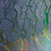 Purchase Alt-J - An Awesome Wave