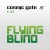 Buy Cosmic Gate - Flying Blind (With Jes) Mp3 Download