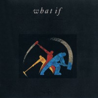 Purchase What If - What If