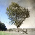 Buy Unwritten Pages - Fringe Kitchen Mp3 Download