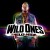 Buy Flo Rida - Wild Ones (Deluxe Version) Mp3 Download