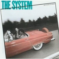 Purchase The System - Don't Disturb This Groove