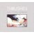 Buy Thrushes - Sun Come Undone Mp3 Download