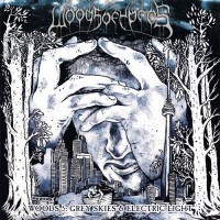 Purchase Woods Of Ypres - Woods 5: Grey Skies & Electric Light