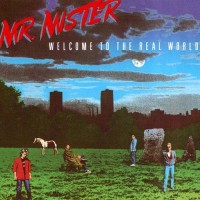 Purchase Mr. Mister - Welcome To The Real World