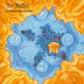 Buy The Muffins - Chronometers Mp3 Download