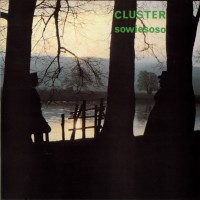 Purchase Cluster - Sowiesoso (Remastered 2007)