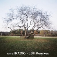 Purchase smallRadio - Leaf Shaped Feelings Remixes