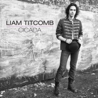 Purchase Liam Titcomb - Cicada