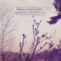 Buy Lee Bains III & the Glory Fires - There Is a Bomb in Gilead Mp3 Download