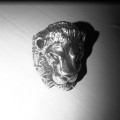 Buy Evian Christ - Payo Rent (CDS) Mp3 Download