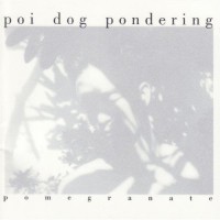 Purchase Poi Dog Pondering - Pomegranate