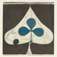 Purchase Grizzly Bear - Shields