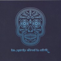 Purchase Tin Spirits - Wired To Earth