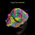 Buy Plastic Tree - Ammonite Mp3 Download