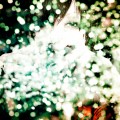 Buy Plastic Tree - Moonlight (CDS) Mp3 Download