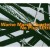 Buy Warne Marsh - Ne Plus Ultra (Vinyl) Mp3 Download