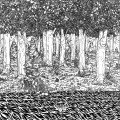 Buy Family Of The Year - Through The Trees (EP) Mp3 Download