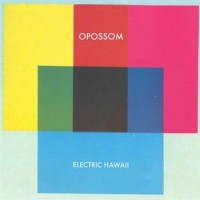 Purchase Opossom - Electric Hawaii