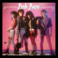 Purchase Pink Rose - Just What You Needed (Vinyl)