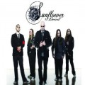 Buy Sunflower Dead - Sunflower Dead Mp3 Download