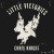 Buy Chris Knight - Little Victories Mp3 Download
