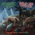 Buy Animals Killing People - Phylum Morph-Apokalupsis Mp3 Download