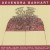 Buy Devendra Banhart - Oh Me Oh My... The Way The Day Goes By The Sun Is Setting Dogs Are Dreaming Lovesongs Of The Christmas Spirit Mp3 Download